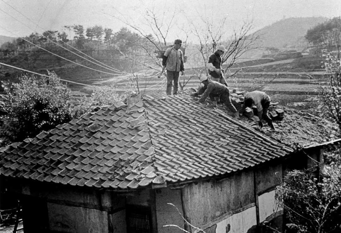 한국정책방송원(공공누리 제1유형, 공유마당 경유) 지붕 위에 올라간 여러 사람이 기와를 새로 얹는 옛 새마을운동 시기 지붕 개량 작업 흑백 사진입니다.